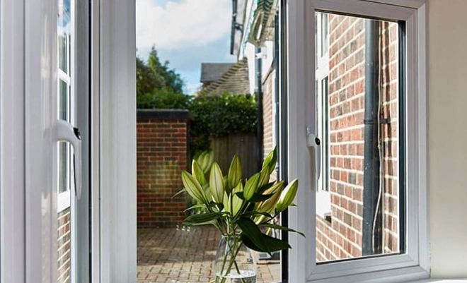 open double glazed window with plant in view