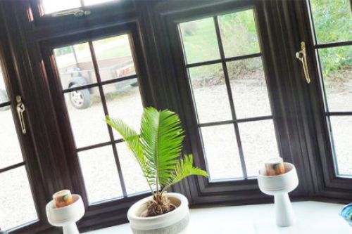 windows from an inside view with a green plant in a pot